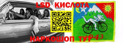 шишки Кинель