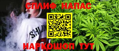 шишки Кинель
