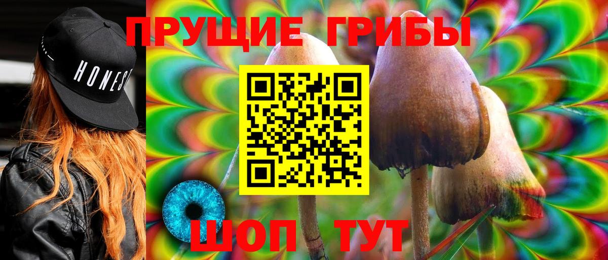 Клинцы  Галлюциногенные грибы Cubensis  Вход с VPN  Галлюциногенные грибы Cubensis 
